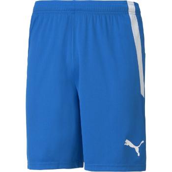 Puma TEAM LIGA SHORTS Pánské šortky, modrá, velikost