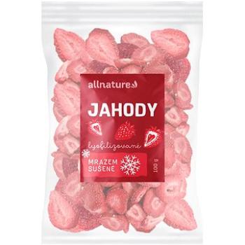 Allnature Jahoda sušená mrazem 100 g (13515 V)