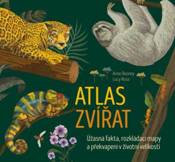 Atlas zvířat - Anne Rooneyová