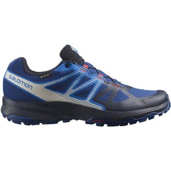 Salomon XA SIWA GTX Pánské běžecké boty, , velikost 42 2/3