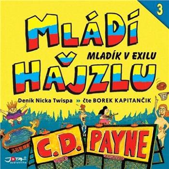 Mládí v hajzlu 3: Mladík v exilu ()