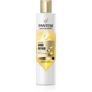 Pantene Pro-V Bond Repair posilující šampon pro poškozené vlasy s biotinem 250 ml