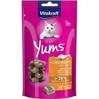 Vitakraft pochoutka Cat Yums kuřecí s trávou 40g (4008239588975)