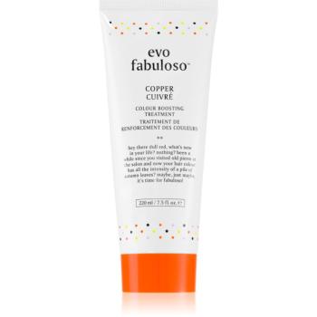 EVO Fabuloso Colour Boosting Treatment maska na vlasy pro zvýraznění barvy vlasů odstín Copper 220 ml