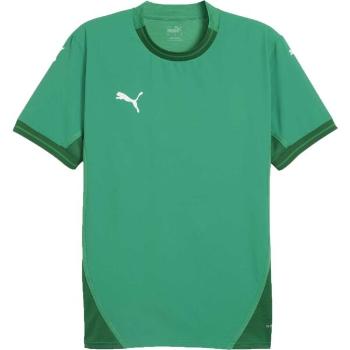 Puma TEAMFINAL JERSEY Pánský fotbalový dres, zelená, velikost