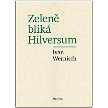 Zeleně bliká Hilversum (978-80-7530-364-6)