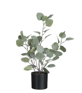 Dekorace Eucalyptus v květináči - Ø12*43cm 87580