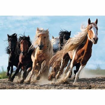 Puzzle Trefl Cai n galop, 1000 piese