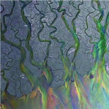 ALT-J: An Awesome Wave - LP (4050538810332)