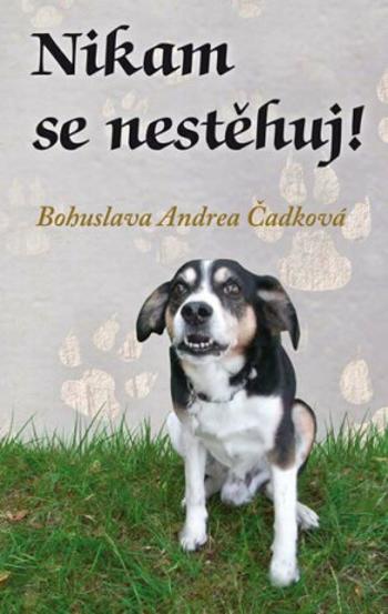 Nikam se nestěhuj! - Bohuslava Andrea Čadková