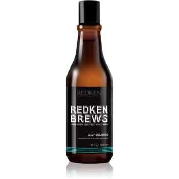 Redken Brews povzbuzující mentolový šampon na vlasy a pokožku hlavy 300 ml