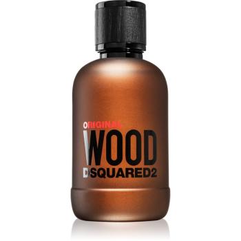 Dsquared2 Original Wood parfémovaná voda pro muže 100 ml