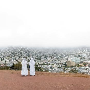 ASPHALT MEADOWS (INDIE)