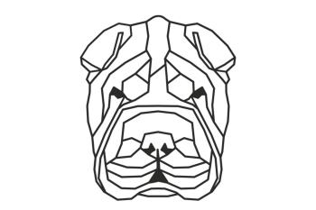 Vsepropejska Šarpej 2 dřevěná dekorace na zeď Rozměr (cm): 38 x 21