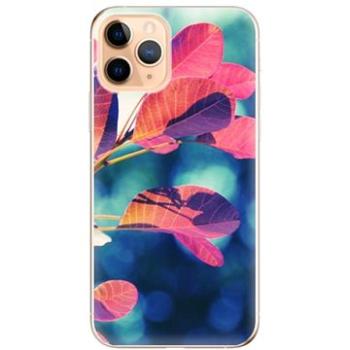 iSaprio Autumn pro iPhone 11 Pro (aut01-TPU2_i11pro)