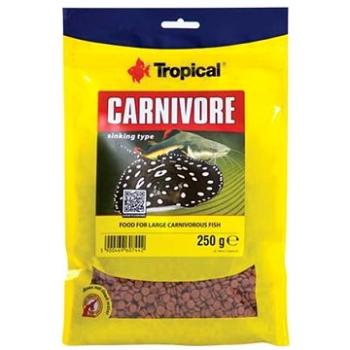 Tropical carnivore 250g krmivo pro velké a střední ryby (6960744)