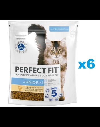 PERFECT FIT Junior