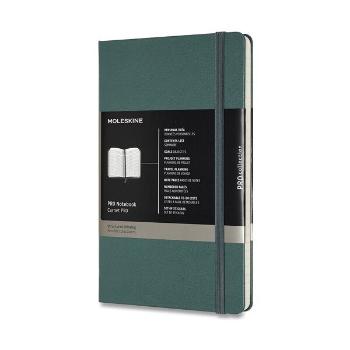 Zápisník Moleskine Professional VÝBĚR BAREV - tvrdé desky - L, linkovaný 1331/450170 - Zápisník Moleskine Professional - tvrdé desky tm. zelený