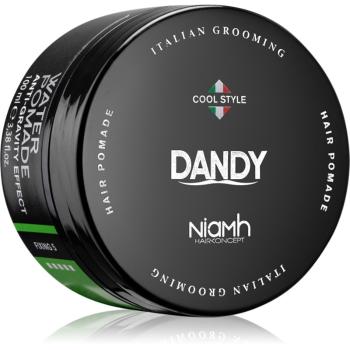 DANDY Water Pomade Anti-Gravity Effect pomáda na vlasy se silným zpevněním 100 ml