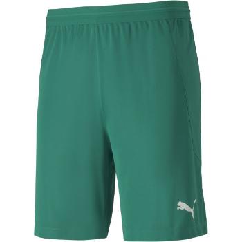 Puma TEAM FINAL 21 KNIT SHORTS Pánské kraťasy, zelená, velikost