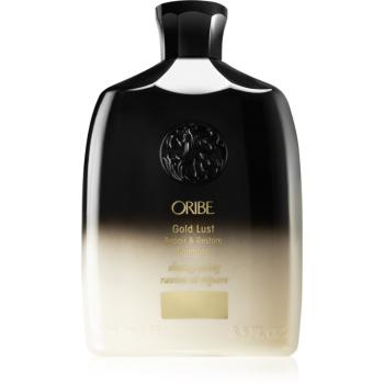 Oribe Gold Lust obnovující šampon pro velmi poškozené křehké vlasy 250 ml