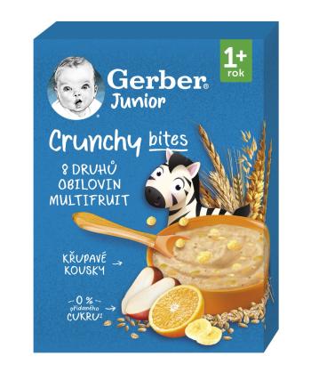 Gerber Junior Nemléčná kaše ovocná 1r+ 200 g