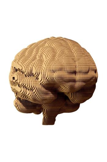 3d puzzle Cartonic Brain