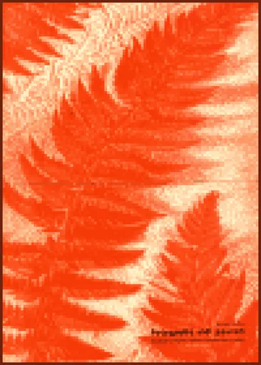 Fotografie vidí povrch - Jaromír Funke, Ladislav Sutnar