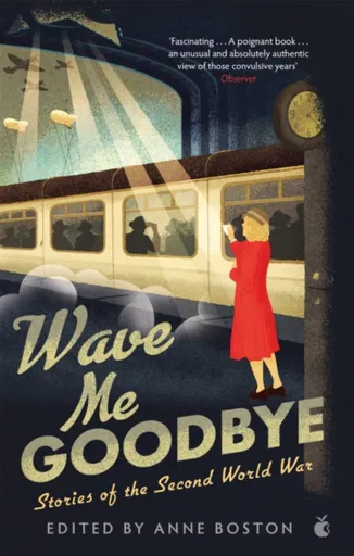 Wave Me Goodbye - Anne Boston