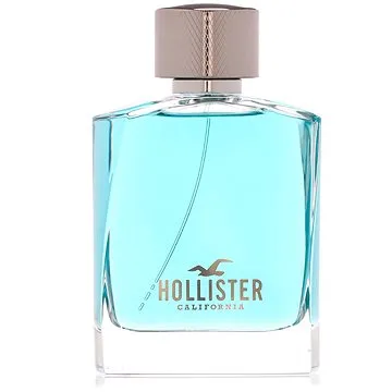 HOLLISTER Wave For Him EdT 100 ml (85715260017)