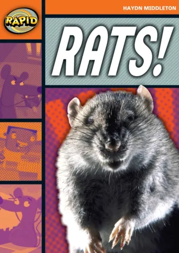 Rapid Reading: Rats! (Stage 4, Level 4B) - Haydn Middleton