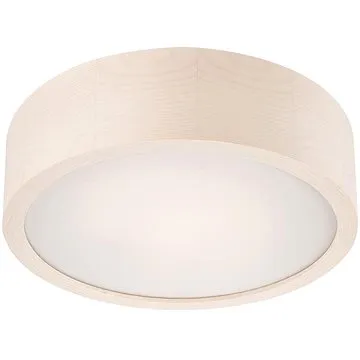 LED Stropní svítidlo 1xLED/12W/230V (89412)