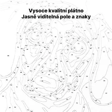 Malování podle čísel - Domek u jezera pod horami (HRAmal00926nad)