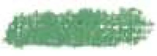 Sennelier olejový pastel 5ml – 088 Sap Green Light