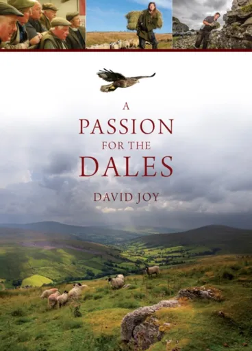 A Passion For The Dales - David Joy