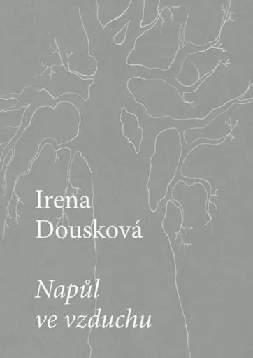 Napůl ve vzduchu - Irena Dousková
