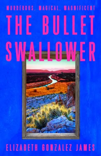 The Bullet Swallower - Elizabeth Gonzalez James