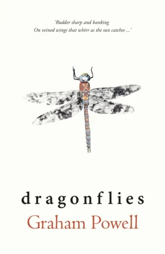Dragonflies - Graham Powell
