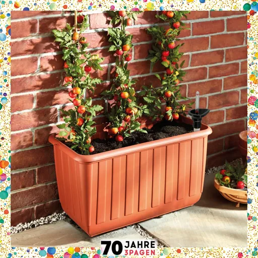 Rajčatový záhon na kolečkách