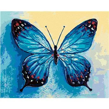Diamondi - Diamantové malování - MODRÝ MOTÝL, 40x50 cm, Vypnuté plátno na rám (605492B)