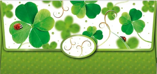 Obálka na peníze sr 55-104