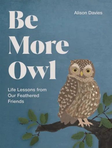 Be More Owl - Alison Daviesová
