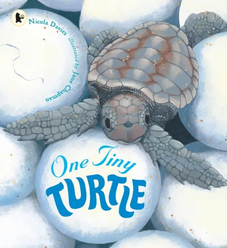 One Tiny Turtle - Nicola Davies