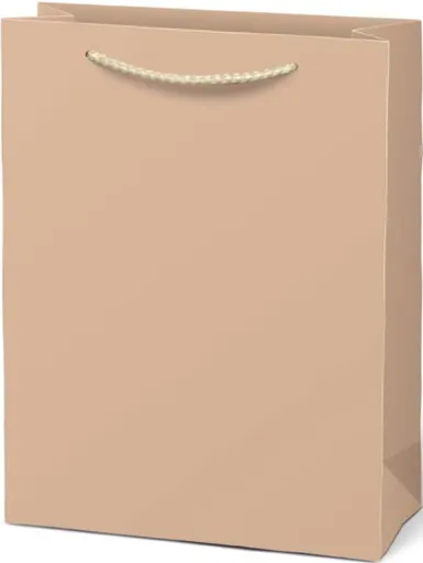 Taška MFP dárková T 4 kraft 180x230x100 béžová