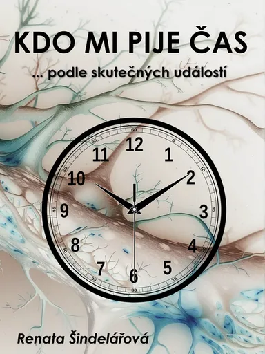 Kdo mi pije čas - Kniha, kterou psal sám život - Renata Šindelářová