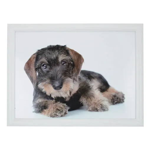 Podnos na nohy s jezevčíkem - 43*33*7cm Mars & More