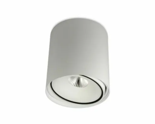 BPM Stropní svítidlo Butup 9053 matná bílá 9053.01.SR.W.D40.3K  9053.01.SR.D40.3K