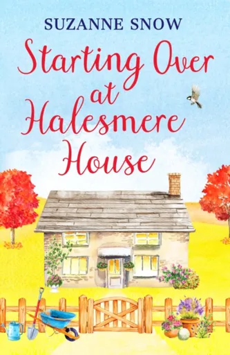 Starting Over at Halesmere House - Suzanne Snow