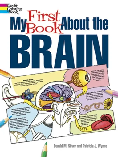 My First Book About the Brain - Donald M. Silver, Patricia J. Wynne