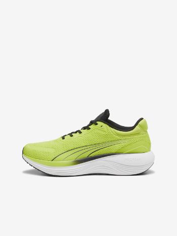 Puma Scend Pro Tenisky Zelená